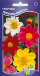    Dahlia variabilis, ,   9 