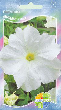    Grandflora Single Petunia, ,   1 