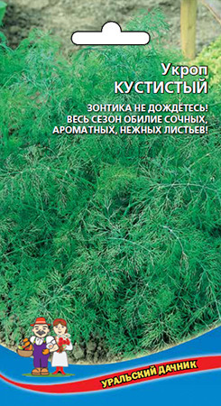 Укроп Кустистый