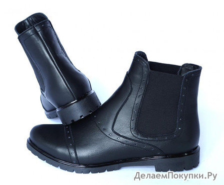 Модель 1009