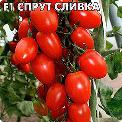 томат Спрут Сливка F1  з/г