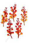    (  10 ) SF-022, - : 708-46