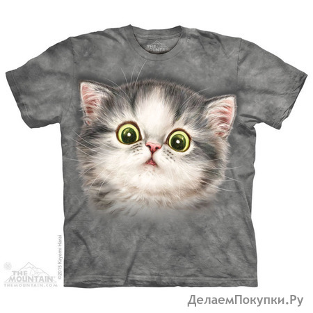 Cat Nip Kitten T-Shirt
