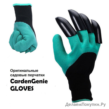   "CardenGeine GLOVES"