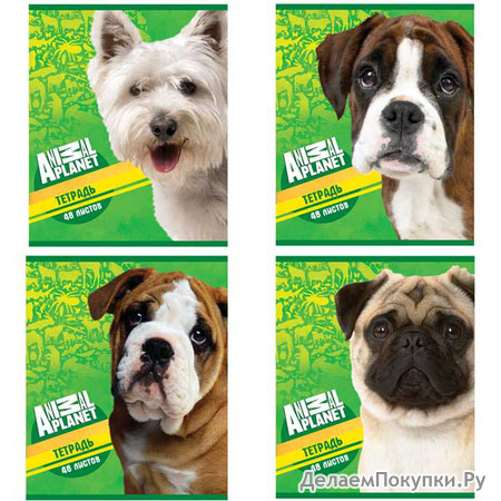  ACTION! ANIMAL PLANET,  , . , , . 5,  48 ., 4 |1