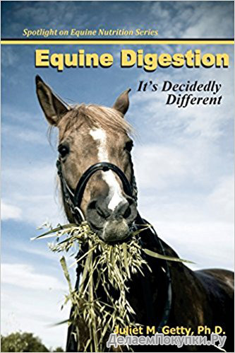 Equine Digestion: It's Decidedly Different (Spotlight on Equine Nutrition)