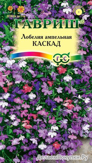 Цветы Лобелия Каскад смесь ампельная