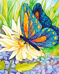 Картина стразами "Бабочка и цветок" (АЖ-1129)