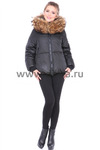  Towmy ( -   )