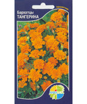   (Tagetes patula)