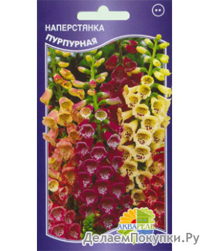   (Digitalis purpurea), 