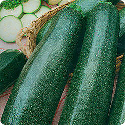 Кабачок Фараон - цуккини (Марс) Р