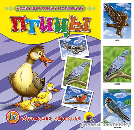 Обучающие карточки. Птицы