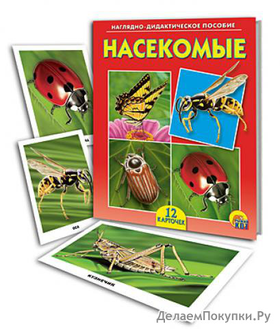 Дидакт.пособие. Насекомые (арт. ПД-6899)