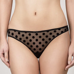 777930  Velvet polka Rosme