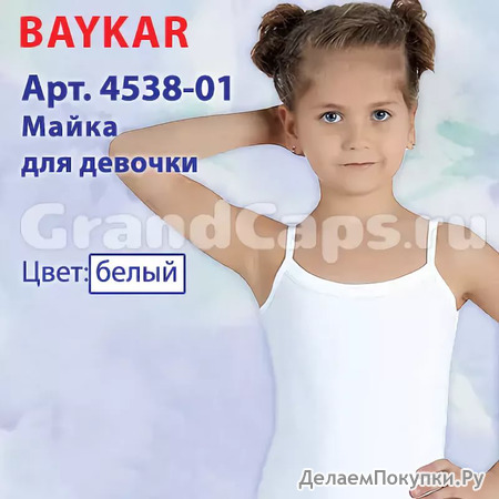 4538-01 Baykar (  )
