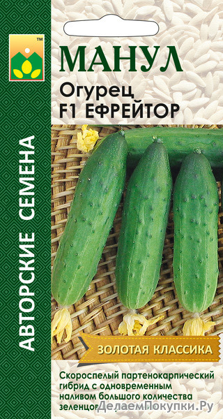 Семена огурца F1 Ефрейтор