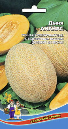 Дыня Ананас (УД) Очень популярная, медовая с нотками ананаса, устойчива к погодным стрессам!