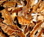 Перегородки грецкого ореха 100 гр