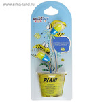   SmartBuy PLANT, /