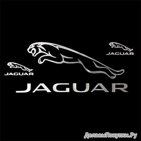 JAGUAR  