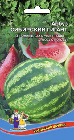 Арбуз Сибирский Гигант