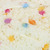 Yumurcak Benekli ( )