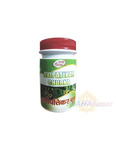  ,  , 100 ,   ; Avipatikar Churna, 100 g, Sri Ganga Pharmacy