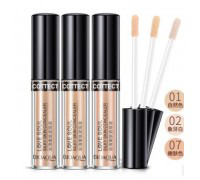 BioAqua Silky Skin Concealer   