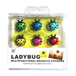    Ladybug, 6 