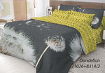  "DANDELION",  