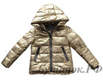 .1050  Moncler  (  )