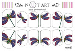  Nut Art Professional, Summer Mixes