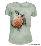 The Mountain Women's Triblend Crew-Neck T-Shirt - Sea Turtle Climb