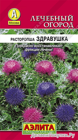    Silybum marianum