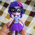 Hasbro  Equestria Girls   -