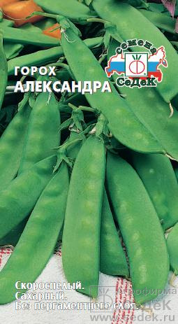 Горох Александра