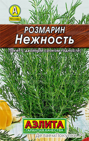 Розмарин Нежность