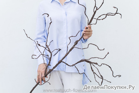  Real Touch 140  ( )