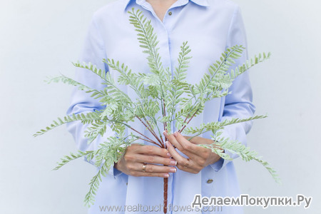 Зелень 10 (Адиантум стоповидный)