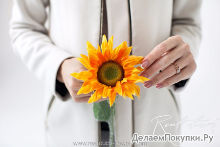 Подсолнух