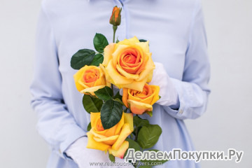 Роза открытая 2 стебля