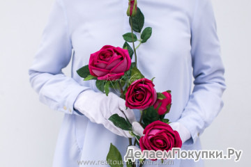 Роза Шар 3+2