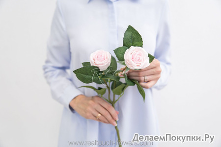 Роза Пионовидная мини 2 соц.