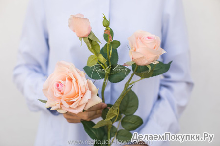 Роза Гранд 3+1