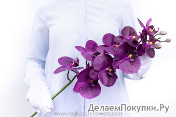Орхидея 9 соцветий HQ