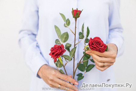 Роза кустовая мелкая 2+1