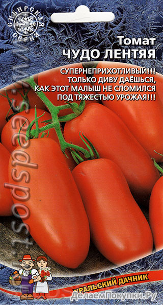 Томат, Чудо лентяя