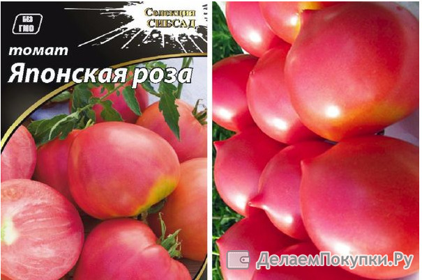 Томат японский отзывы фото урожайность характеристика