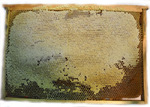 Мёд в сотах разнотравье Дадановская рамка (татарник, донник) (проставлять количество в рамках) в рамке от 2 до 2,5 кг